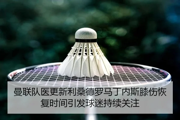 曼联队医更新利桑德罗马丁内斯膝伤恢复时间引发球迷持续关注