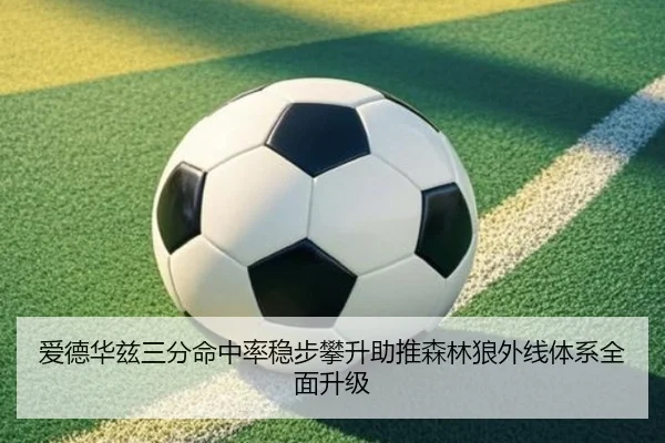 爱德华兹三分命中率稳步攀升助推森林狼外线体系全面升级