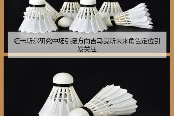 纽卡斯尔研究中场引援方向吉马良斯未来角色定位引发关注